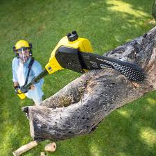 Soil Testing and Treatment in Barton Creek, TX