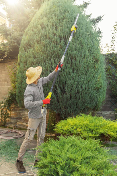 Lawn Watering Services in Barton Creek, TX